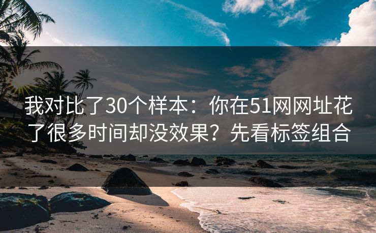 我对比了30个样本：你在51网网址花了很多时间却没效果？先看标签组合